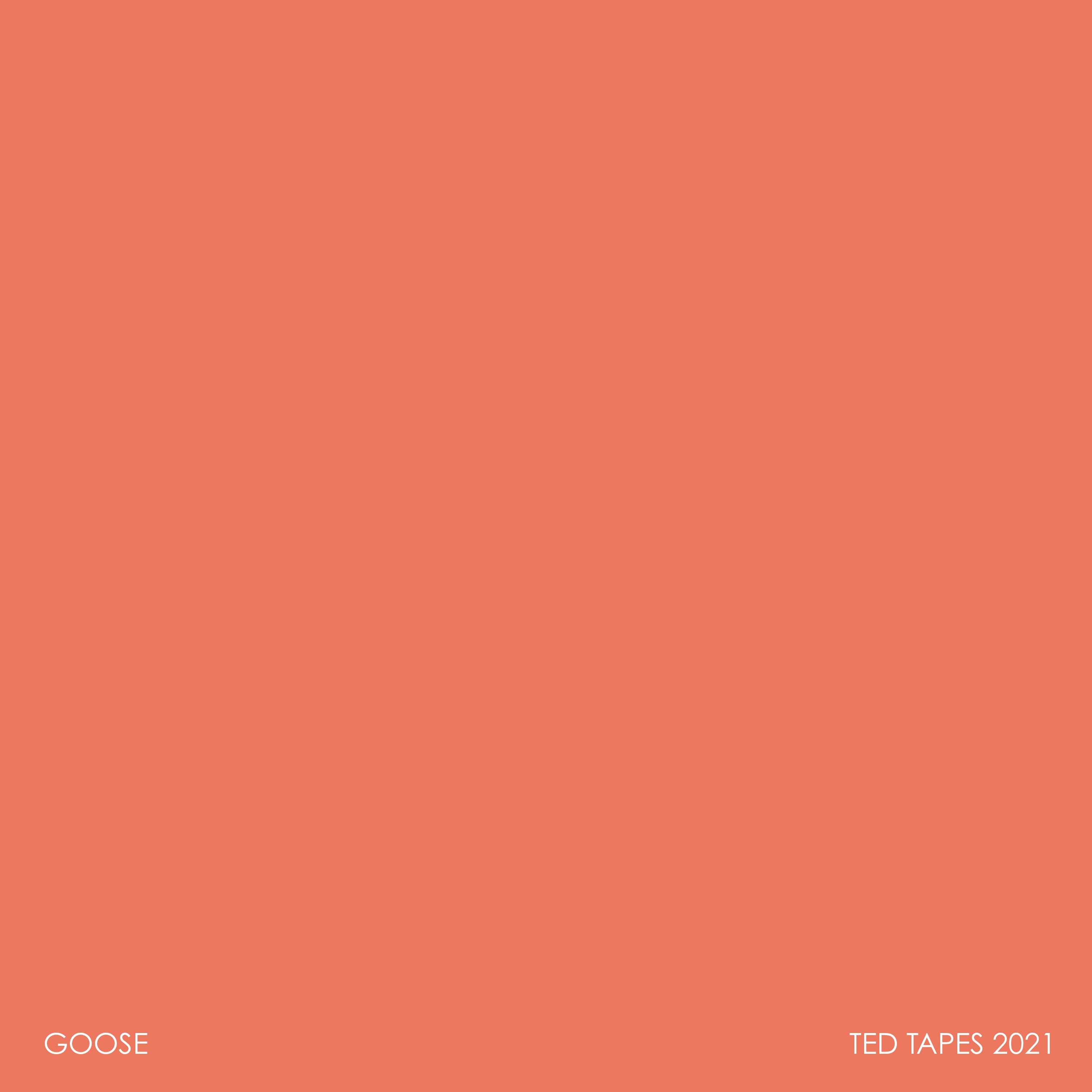 GOOSE RELEASES “TED TAPES 2021” INSTRUMENTAL ALBUM AND FULL ALBUM